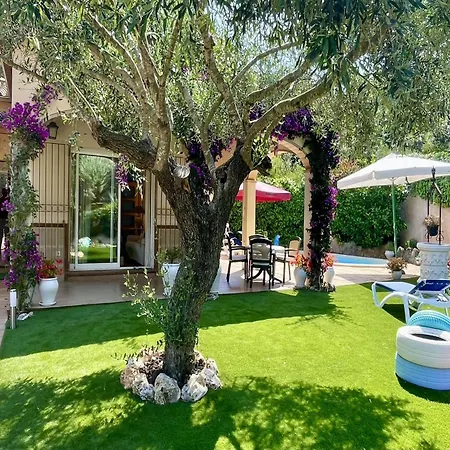 Pineda For Seven People In Villa *